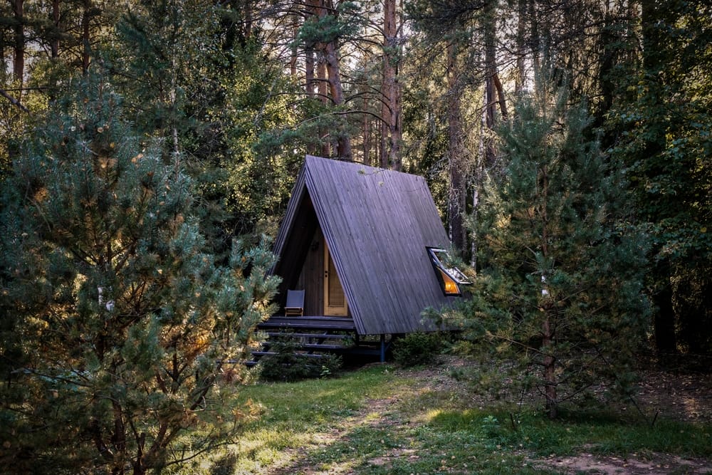 cabin,in,forest.,cozy,a,frame,house,in,the,forest